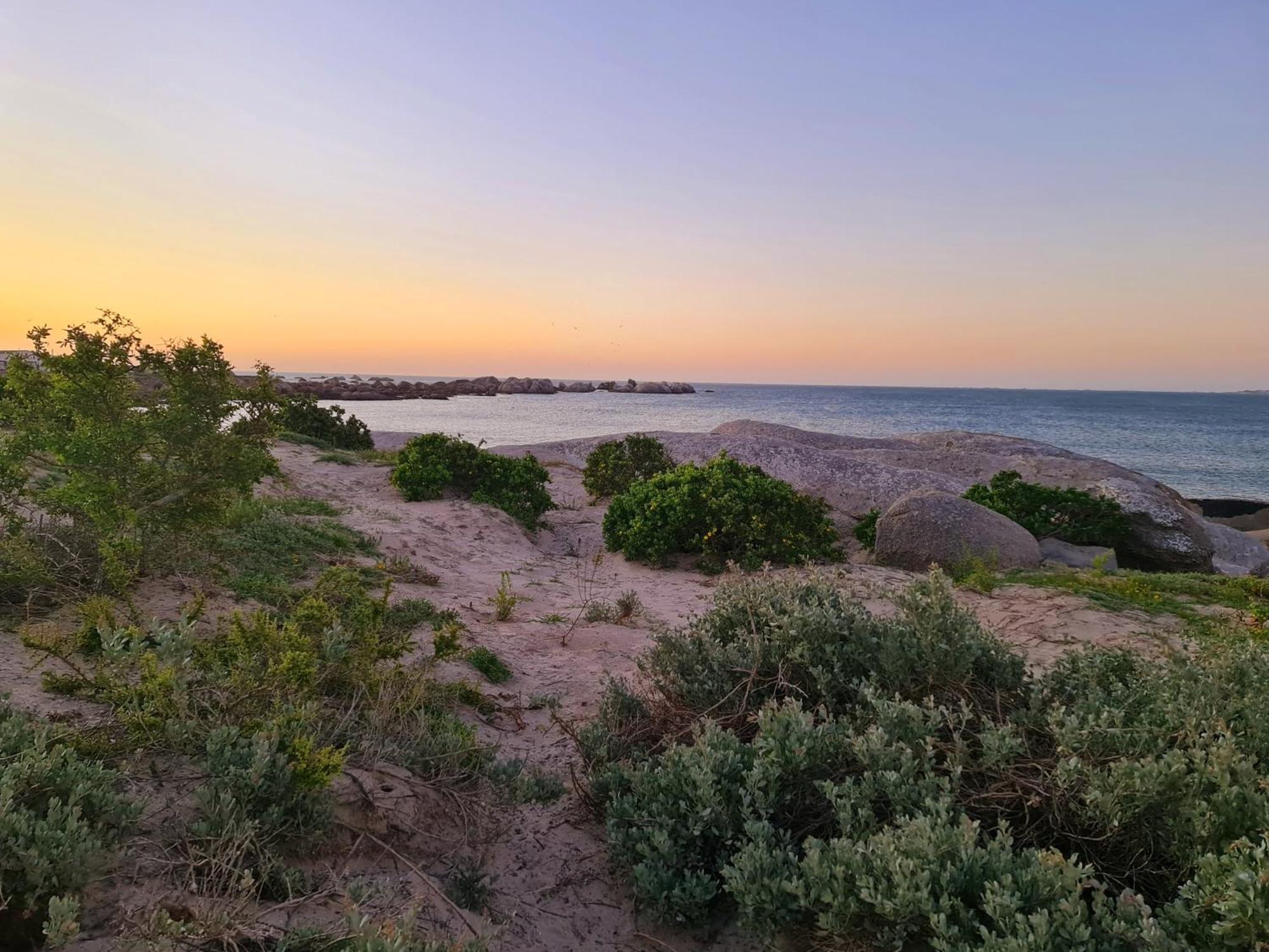 Flamink Beach View Cottage In Патерностер Екстер'єр фото